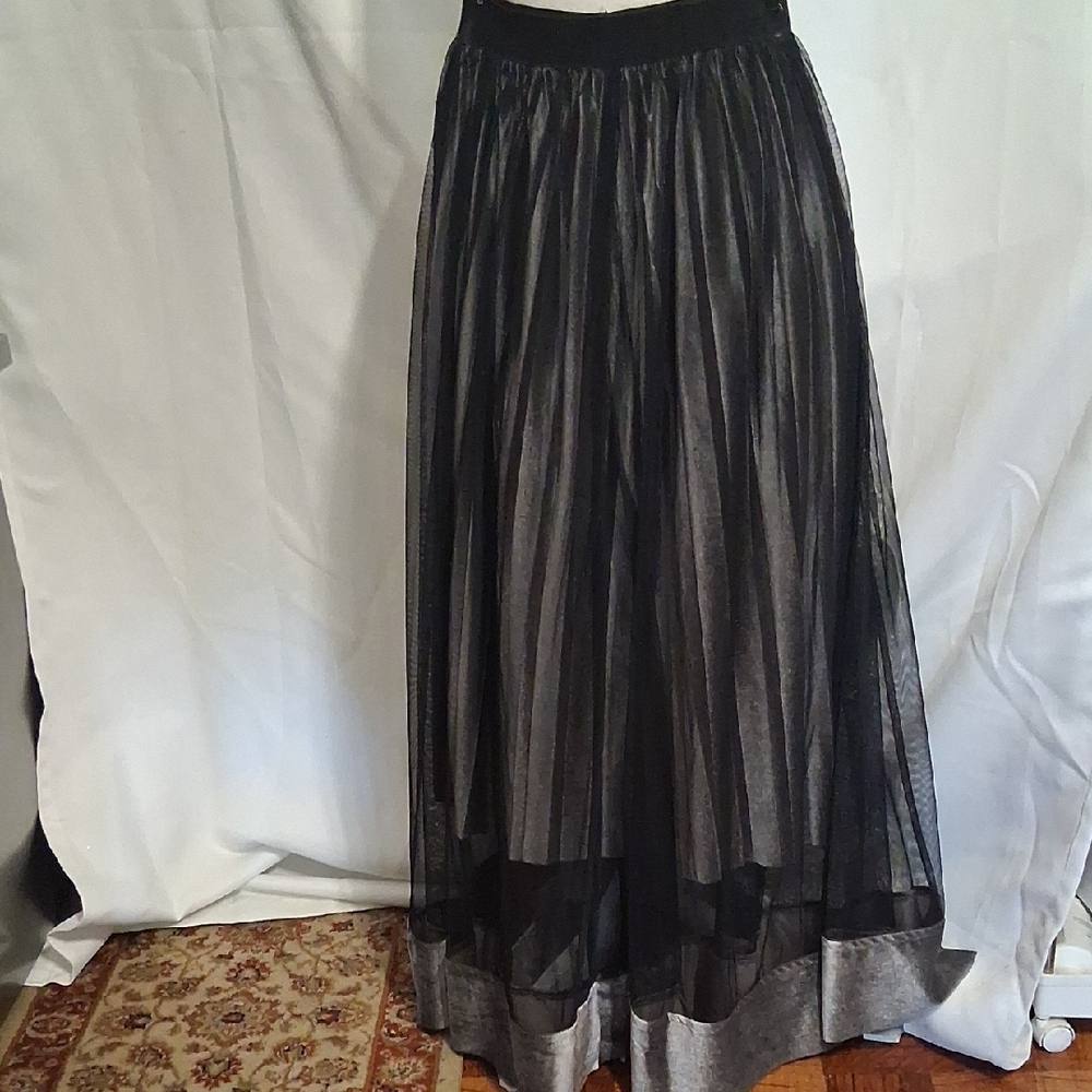 Elegant Black Sheer Women's Skirt